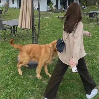 事物的秘密