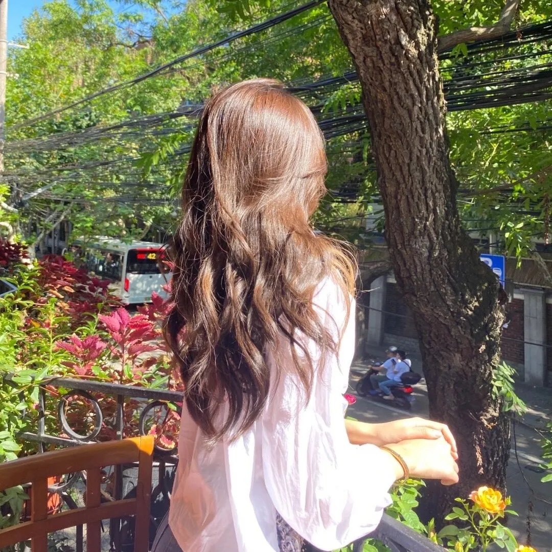 恐龙战队第二季